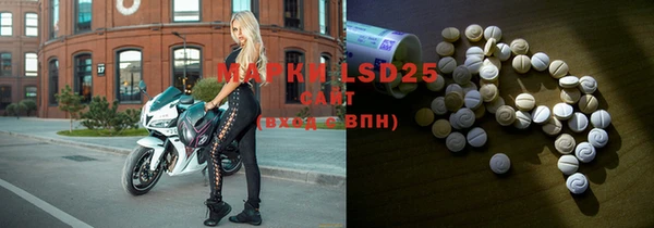 гашик Кулебаки