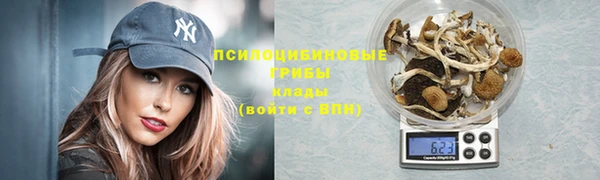амф Кукмор