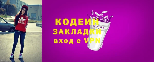 гашик Кулебаки
