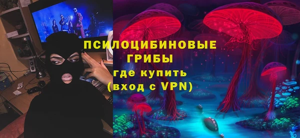 гашик Кулебаки