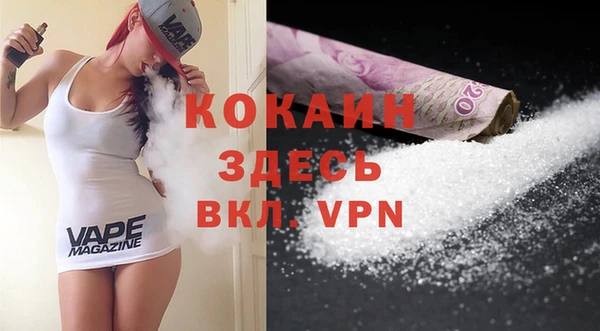 гашик Кулебаки