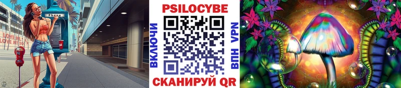 Псилоцибиновые грибы GOLDEN TEACHER  купить   Киржач 